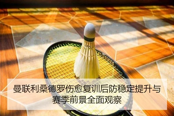 曼联利桑德罗伤愈复训后防稳定提升与赛季前景全面观察